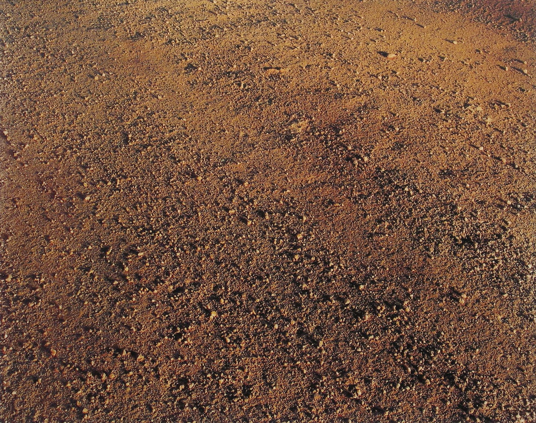 Andreas Gursky. Untitled III. 1996