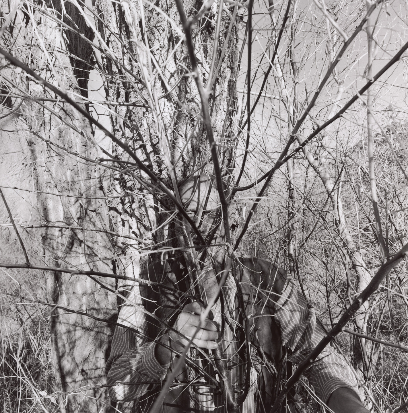 アート・デザイン・音楽 Lee Friedlander | New Mexico Lee Friedlander. Santa Fe, New Mexico. 1995 | MoMA