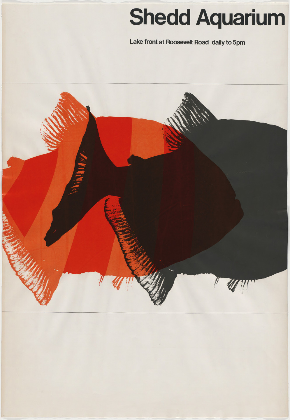 Carol Lipper, John Massey. Shedd Aquarium. 1965-66