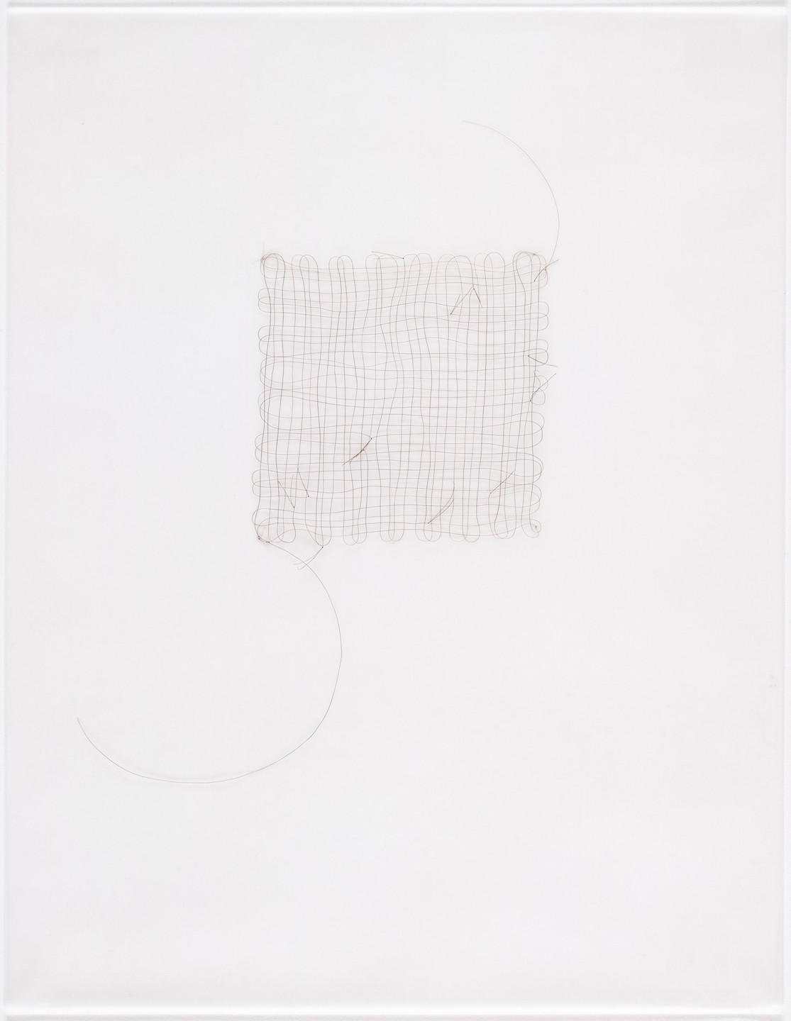 Mona Hatoum. Untitled (hair grid with knots 3). (2001)