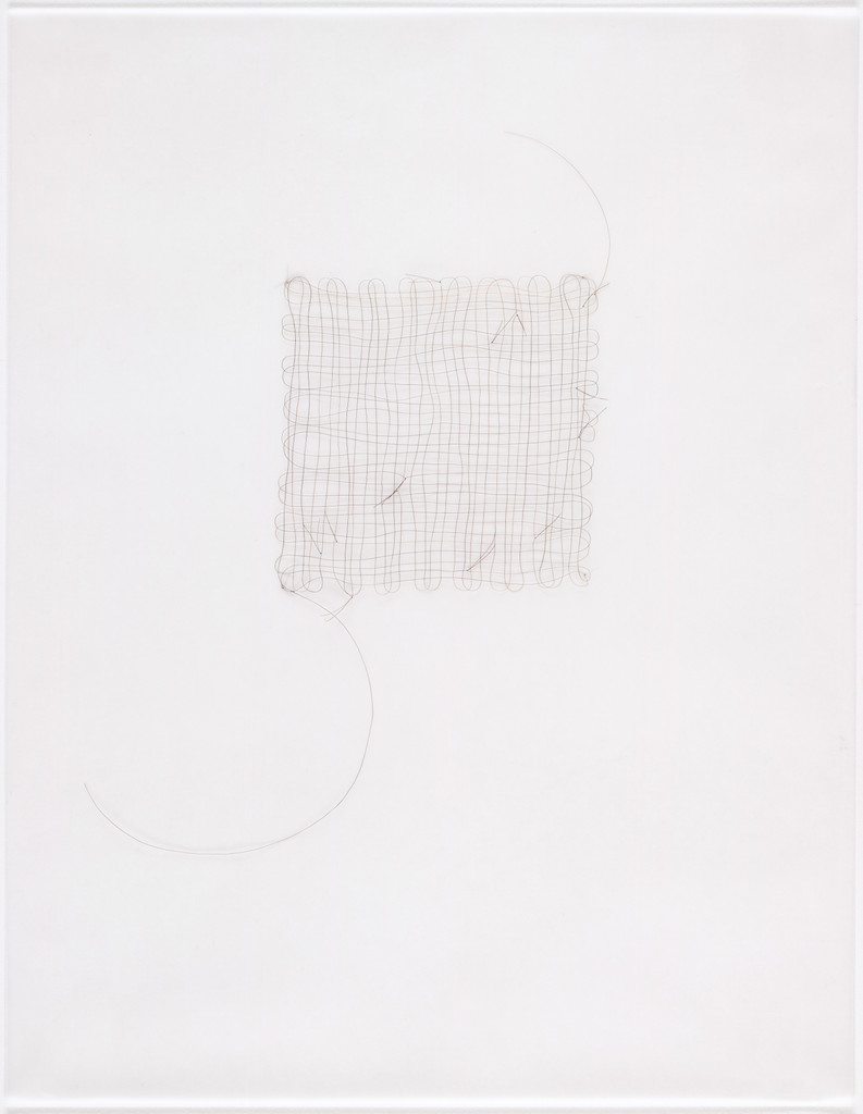 Untitled (hair grid with knots 3)