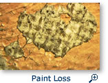 Paint Loss