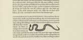 Gerhard Marcks. Snake (Schlange) (in-text plate, page 11) from Tierfabeln des Aesop (Aesop's Fables). (1950, print executed 1949-50)