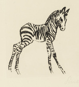 Renée Sintenis. Young Zebra (Junges Zebra). unknown