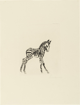 Renée Sintenis. Young Zebra (Junges Zebra). unknown