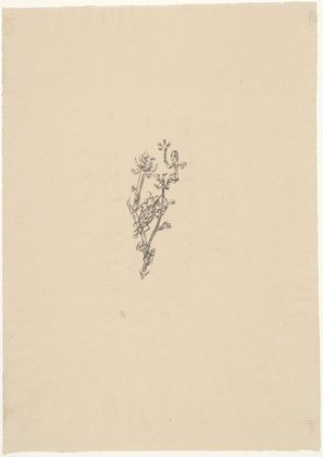 Paul Klee. Giant Aphid (Riesenblattlaus). (1920)