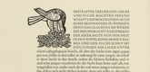 Gerhard Marcks. Eagle in a Nest (Adler auf dem Nest III) and Fox with Young Eagle (Fuchs mit Adlerjungen) (in-text plates, page 18) from Tierfabeln des Aesop (Aesop's Fables). (1950, print executed 1949-50)