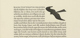 Gerhard Marcks. Hawk in Flight (Habicht im Fluge) (in-text plate, page 19) from Tierfabeln des Aesop (Aesop's Fables). (1950, print executed 1949-50)
