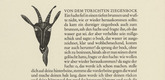 Gerhard Marcks. Head of a Goat (Kopf eines Ziegenbocks) (in-text plate, page 22) from Tierfabeln des Aesop (Aesop's Fables). (1950, print executed 1949-50)