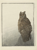 Walther Klemm. Great Horned Owl (Uhu). 1912