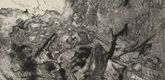 Otto Dix. Abandoned Position near Vis-en-Artois (Verlassene Stellung bei Vis-en-Artois)  from The War (Der Krieg). (1924)