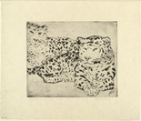 Max Kaus. Leopards (Leoparden). (c. 1926)