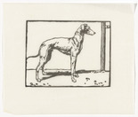 Emil Orlik. Greyhound (Windhund) from Small Woodcuts (Kleine Holzschnitte). 1920 (prints executed 1896-1899)