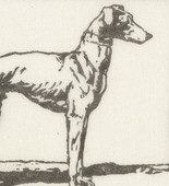 Emil Orlik. Greyhound (Windhund) from Small Woodcuts (Kleine Holzschnitte). 1920 (prints executed 1896-1899)