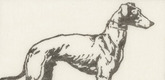 Emil Orlik. Greyhound (Windhund) from Small Woodcuts (Kleine Holzschnitte). 1920 (prints executed 1896-1899)