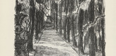 Alfred Kunze. Alley of Trees (Baumallee) (plate, preceding p. 73) from Künstler abseits vom Wege. 10 Jahre deutscher Kunst in der Provinz. 1918