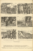 Alexander Kolde. Sketches from the Field (Skizzen aus dem Felde) (in-text plate, p. 106) from the periodical Kriegszeit. Künstlerflugblätter, vol. 1, no. 26 (10 Feb 1915). 1915