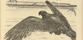 August Gaul. To England (Nach England)  (in-text plate, p. 111) from the periodical Kriegszeit. Künstlerflugblätter, vol. 1, no. 28 (24 Feb 1915). 1915