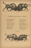 August Gaul. Struggle (Kampf) (headpiece, p. 10) from the periodical Kriegszeit. Künstlerflugblätter, vol. 1, no. 3 (16 Sept 1914). 1914