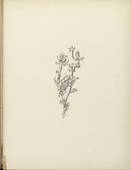 Paul Klee. Giant Aphid (Riesenblattlaus) (plate 10) from the illustrated book Deutsche Graphiker der Gegenwart (German Printmakers of Our Time). 1920