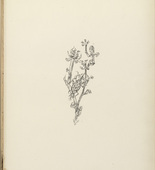 Paul Klee. Giant Aphid (Riesenblattlaus) (plate 10) from the illustrated book Deutsche Graphiker der Gegenwart (German Printmakers of Our Time). 1920