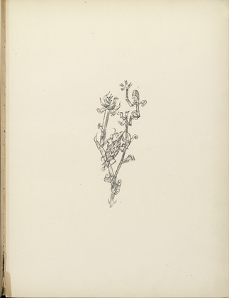 Paul Klee. Giant Aphid (Riesenblattlaus) (plate 10) from the illustrated book Deutsche Graphiker der Gegenwart (German Printmakers of Our Time). 1920