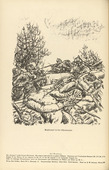 Erich Büttner. Hand to Hand Fighting in Champagne (Nahkampf in der Champagne) (in-text plate, p. 134) from the periodical Kriegszeit. Künstlerflugblätter, vol. 1, no. 33 (31 March 1915). 1915