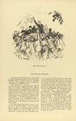 Arthur Kampf. New Victory Sheets (Neue Siegesblätter) (headpiece, p. 152) from the periodical Kriegszeit. Künstlerflugblätter, vol. 1, no. 38 (5 May 1915). 1915