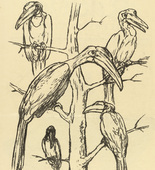 August Gaul. The Common Hornbill (Der gewöhnliche Hornrabe) (headpiece, p. 164) from the periodical Kriegszeit. Künstlerflugblätter, vol. 1, no. 41 (27 May 1915). 1915