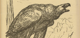 August Gaul. Tirol (in-text plate, p. 179) from the periodical Kriegszeit. Künstlerflugblätter, vol. 1, no. 45 (24 June 1915). 1915