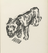 René Beeh. Lion (Löwe) (plate 28) from the illustrated book Deutsche Graphiker der Gegenwart (German Printmakers of Our Time). 1920