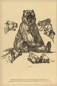 August Gaul. The Bear Held at Bay (Der gestellte Bär) (plate, p. 202) from the periodical Kriegszeit. Künstlerflugblätter, vol. 1, no. 50 (5 Aug 1915). 1915