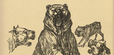 August Gaul. The Bear Held at Bay (Der gestellte Bär) (plate, p. 202) from the periodical Kriegszeit. Künstlerflugblätter, vol. 1, no. 50 (5 Aug 1915). 1915