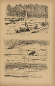 August Gaul. Soldiers' Graves in Poland (Soldatengräber in Polen) (plate, p. 237) from the periodical Kriegszeit. Künstlerflugblätter, vol. 1, no. 59 (Dec 1915). 1915