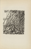 Walther Teutsch. Untitled (Battle in the Forest) (plate, [p. 69]) from the periodical  Zeit-Echo. Ein Kriegs-Tagebuch der Künstler, vol. 1, no. 5 (Dec 1914). 1914
