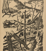 Willy Jaeckel. Forest Shot to Pieces (Zerschossener Wald) (plate, p. 249) from the periodical Kriegszeit. Künstlerflugblätter, vol. 1, no. 62 (Feb 1916). 1916
