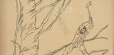 Alice Trübner. Ferdinand Hodler, the Woodcutter (Der Holzfäller Ferdinand Hodler) (in-text plate, p. 32) from the periodical Kriegszeit. Künstlerflugblätter, vol. 1, no. 9 (21 Oct 1914). 1914