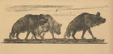 August Gaul. Tailpiece (p. 43) from the periodical Kriegszeit. Künstlerflugblätter, vol. 1, no. 11 (4 Nov 1914). 1914
