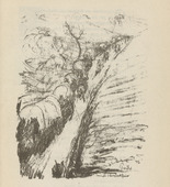 Walther Teutsch. Untitled (Trail in the Barrage) (plate, [p. 345]) from the periodical  Zeit-Echo. Ein Kriegs-Tagebuch der Künstler, vol. 1, no. 23/24 (Sept 1915). 1915