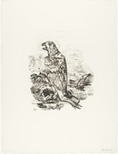 Oskar Kokoschka. The Eagle ("Blessed are the Dead") [Der Adler ("Selig sind die Toten)] (plate 9) from  O Eternity - Thou Word of Thunder (Bach Cantata) [O Ewigkeit - Du Donnerwort (Bachkantate)]. (1914, published 1916)