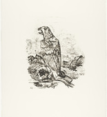 Oskar Kokoschka. The Eagle ("Blessed are the Dead") [Der Adler ("Selig sind die Toten)] (plate 9) from  O Eternity - Thou Word of Thunder (Bach Cantata) [O Ewigkeit - Du Donnerwort (Bachkantate)]. (1914, published 1916)