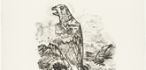 Oskar Kokoschka. The Eagle ("Blessed are the Dead") [Der Adler ("Selig sind die Toten)] (plate 9) from  O Eternity - Thou Word of Thunder (Bach Cantata) [O Ewigkeit - Du Donnerwort (Bachkantate)]. (1914, published 1916)
