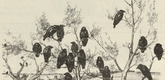 August Gaul. The Raven (Die Raben) (plate, folio 10 verso) from the periodical Der Bildermann, vol. 1, no. 5 (Jun 1916). 1916