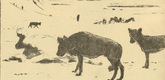 August Gaul. Wolves in the Carpathian Mountains (Wölfe in den Karpathen) (in-text plate, p. 86) from the periodical Kriegszeit. Künstlerflugblätter, vol. 1, no. 21 (6 Jan 1915). 1915