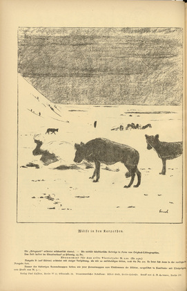 August Gaul. Wolves in the Carpathian Mountains (Wölfe in den Karpathen) (in-text plate, p. 86) from the periodical Kriegszeit. Künstlerflugblätter, vol. 1, no. 21 (6 Jan 1915). 1915