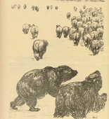 August Gaul. Hindenburg Is Coming! (Der Hindenburg kommt) (plate, p. 88) from the periodical Kriegszeit. Künstlerflugblätter, vol. 1, no. 22 (13 Jan 1915). 1915