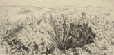 Otto Dix. Shell Crater with Flowers (Spring 1916) [Granattrichter mit Blumen (Frühling 1916)] from The War (Der Krieg). (1924)