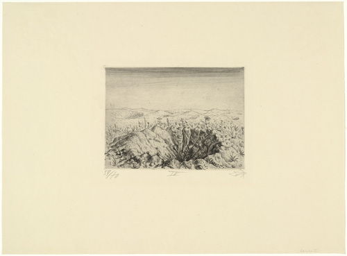Otto Dix. Shell Crater with Flowers (Spring 1916) [Granattrichter mit Blumen (Frühling 1916)] from The War (Der Krieg). (1924)
