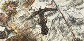 Lovis Corinth. Tell's Leap (Der Tell-Sprung) from William Tell (Wilhelm Tell). (1923-24, published 1925)