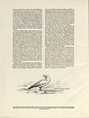 August Gaul. Tailpiece (folio 56 verso) from the periodical Der Bildermann, supplement to vol. 1, no. 17 (Dec 1916). 1916
